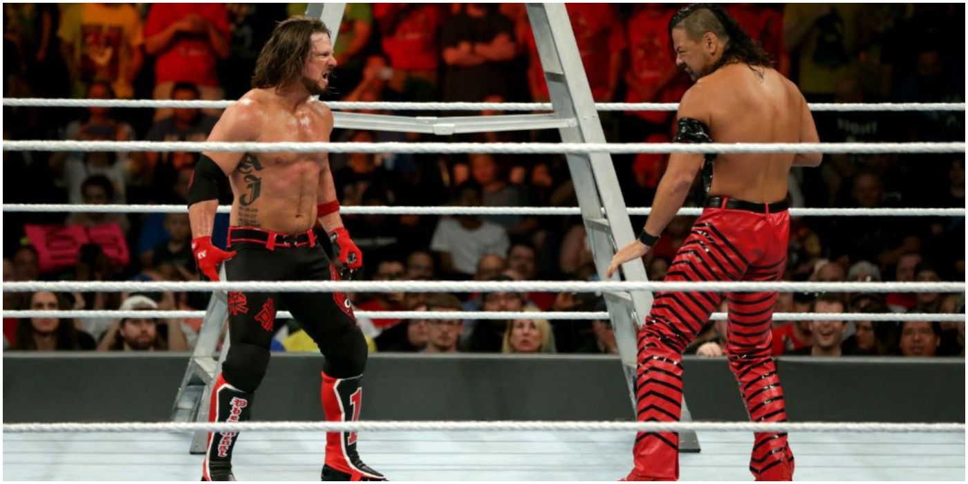 AJ Styles and Shinsuke Nakamura Money in the Bank