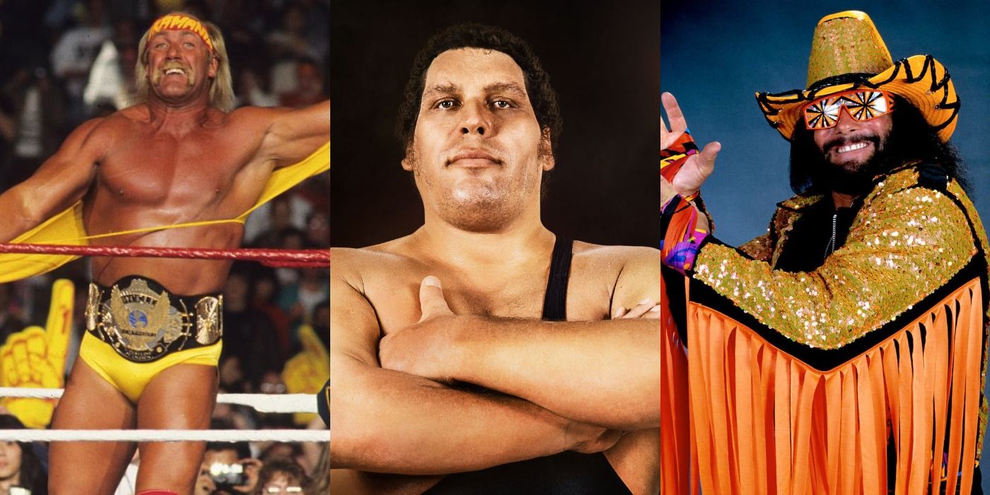 Andre The Giant Hulk Hogan Randy Savage