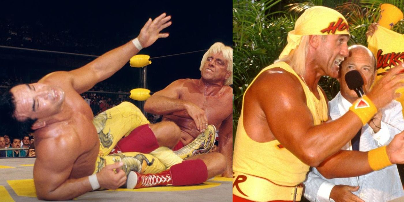 Ric Flair Vs. Ricky Steamboat WCW Spring Stampede 1994 And Hulk Hogan Debut