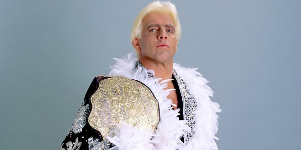 Ric Flair WCW Champion