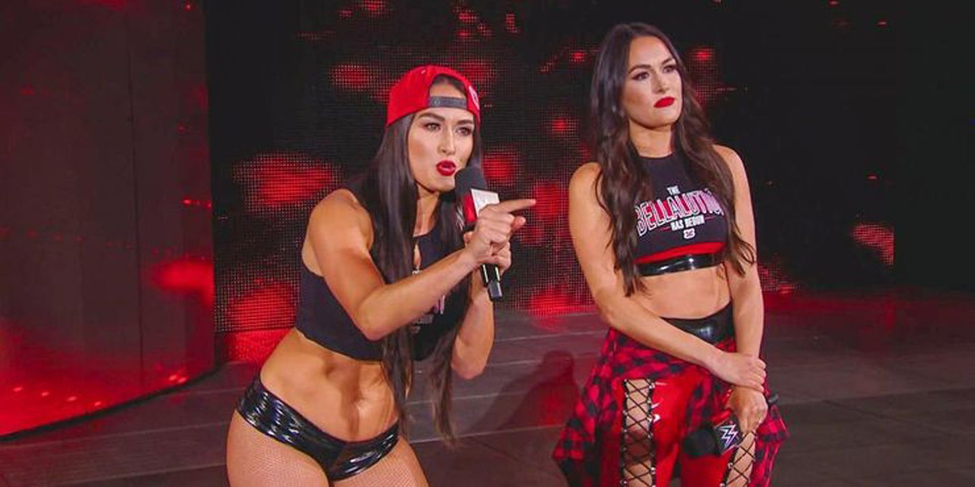 10 Things Wwe Wants You To Forget About The Bella Twins