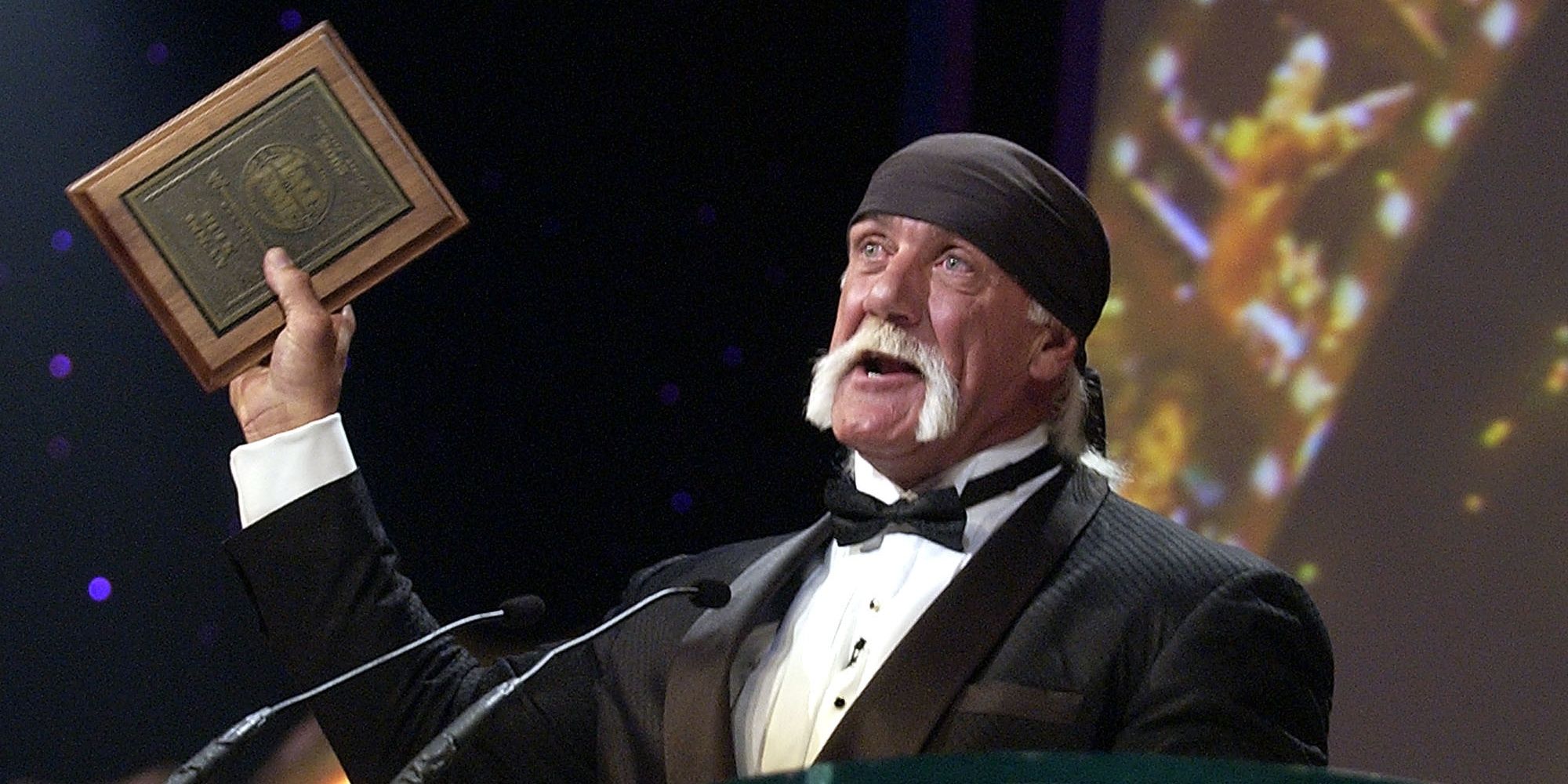 Hulk Hogan Hall Of Famer Cropped