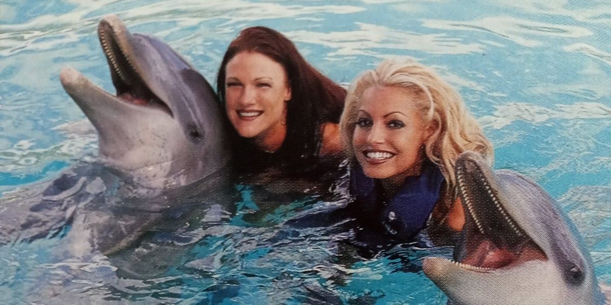 Lita swims with dolphins 
