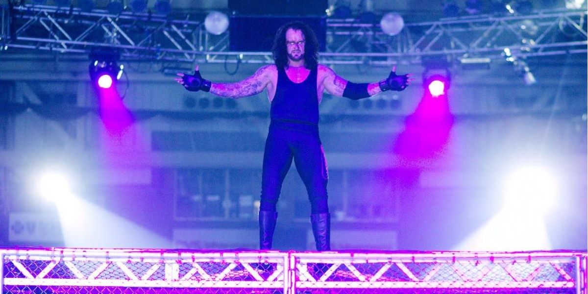 The Undertaker Hell In A Cell