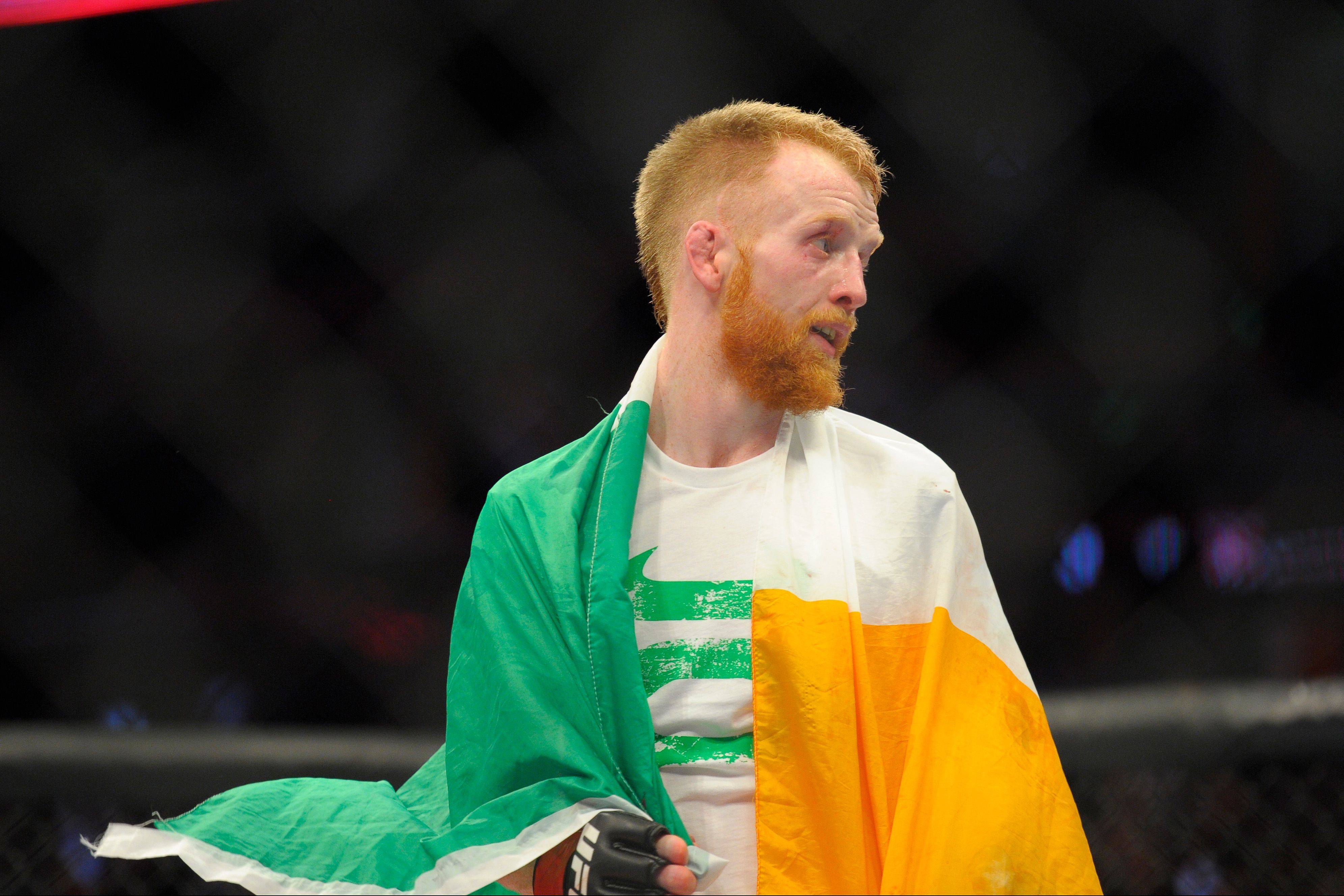 10 Best UFC Fighters From Ireland