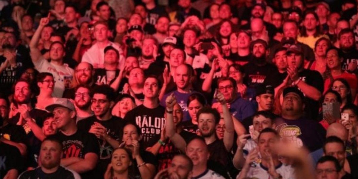 Aficionados a la WWE recortados