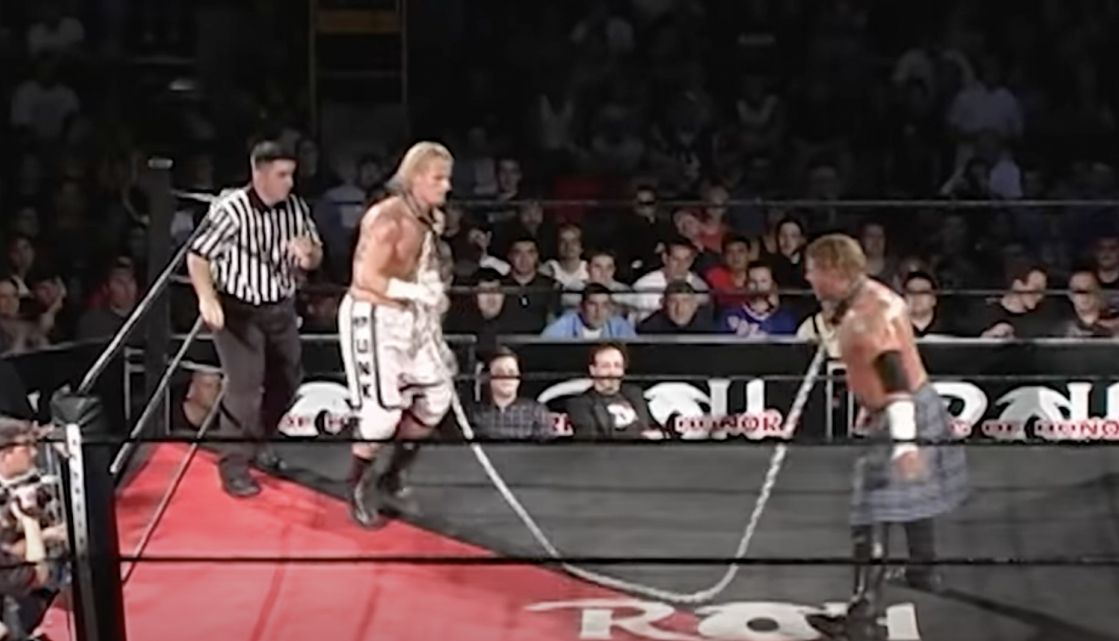 13 Dog Collar Matches Fans May Have About