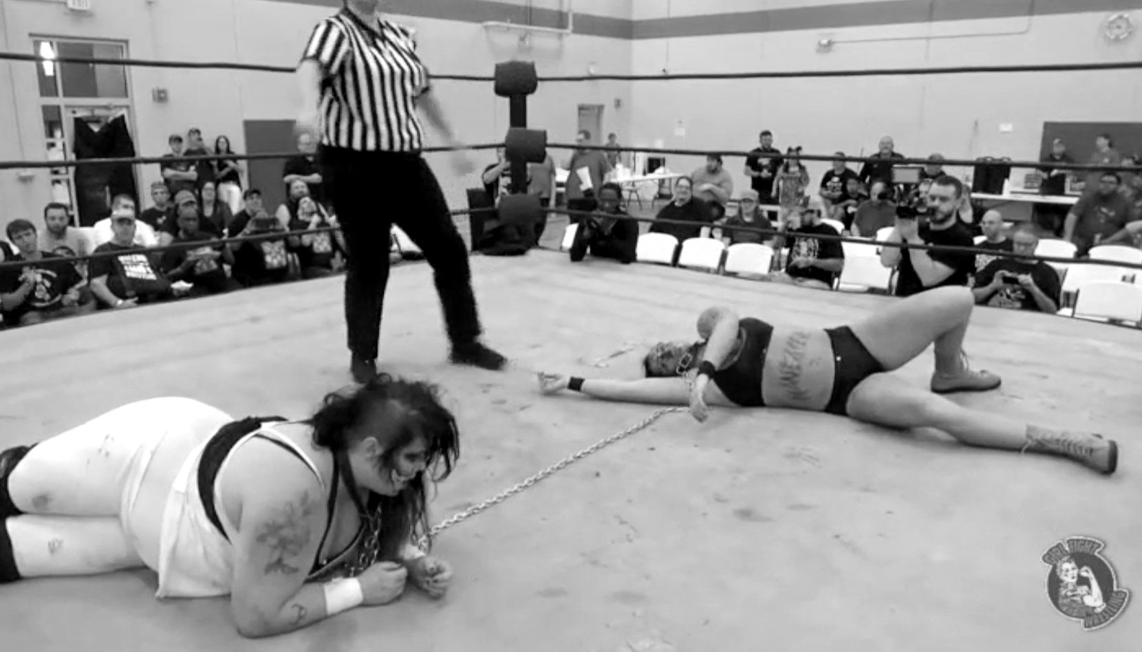 13 Dog Collar Matches Fans May Have About