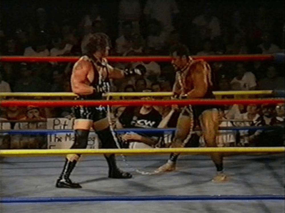 13 Dog Collar Matches Fans May Have About