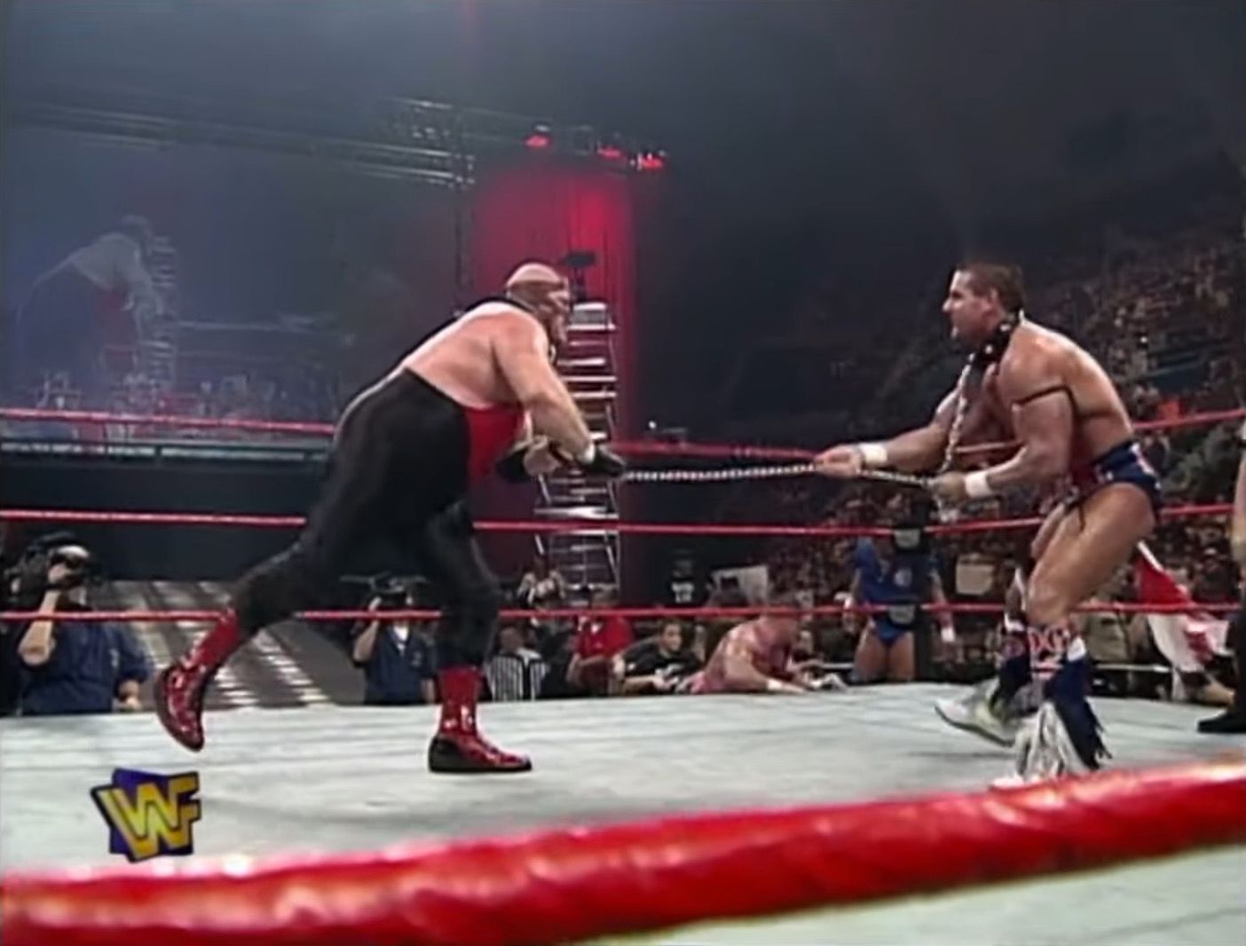 13 Dog Collar Matches Fans May Have About