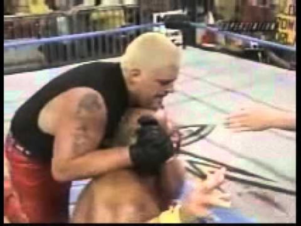 Dustin Rhodes vs. Hulk Hogan