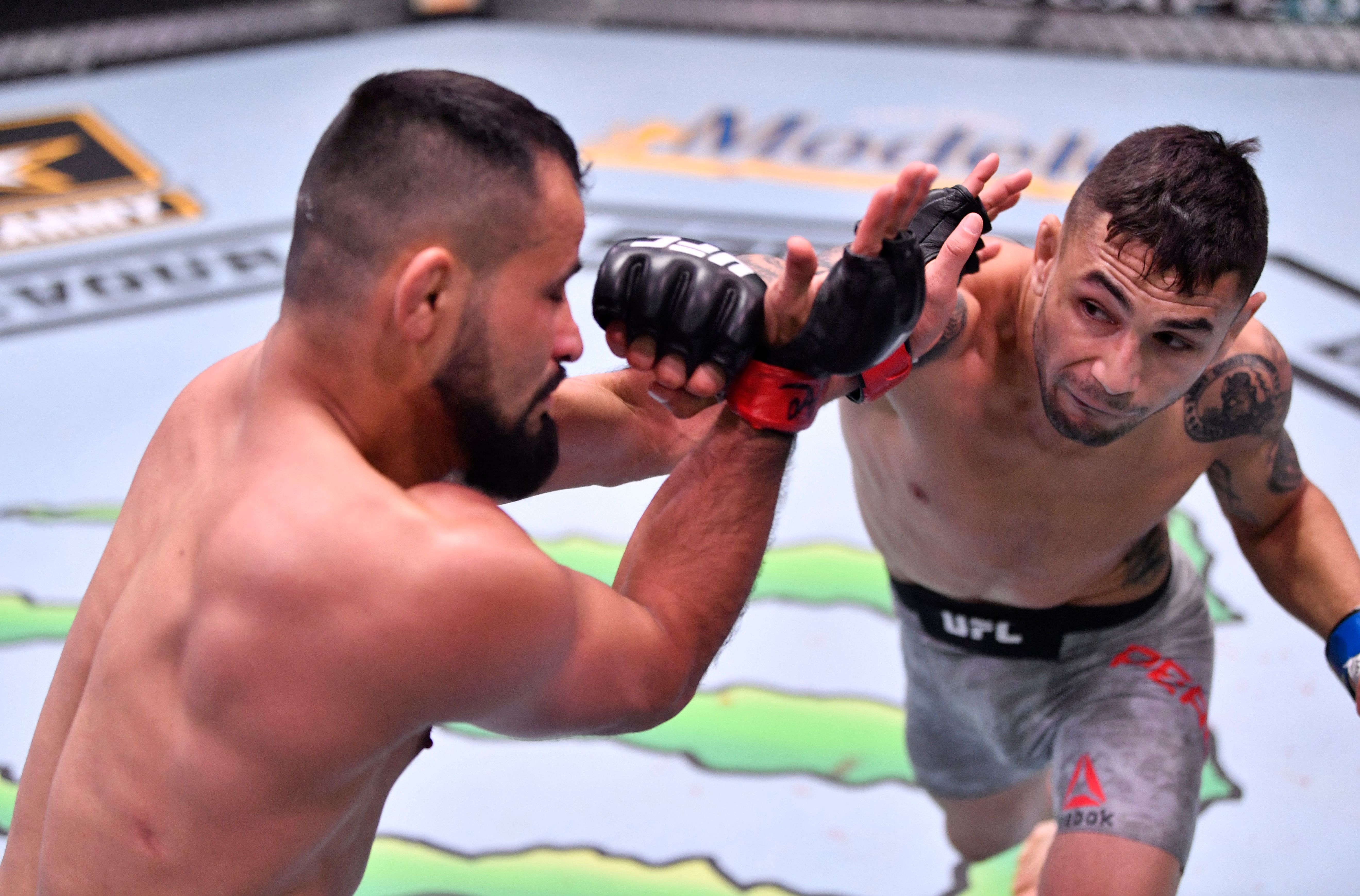 10 Best Leg Kickers The UFC Has Ever Seen