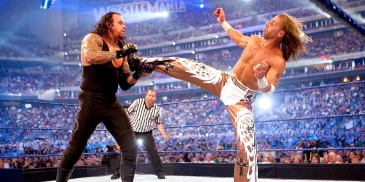 The Undertaker v Shawn Michaels WrestleMania 25 Cropped