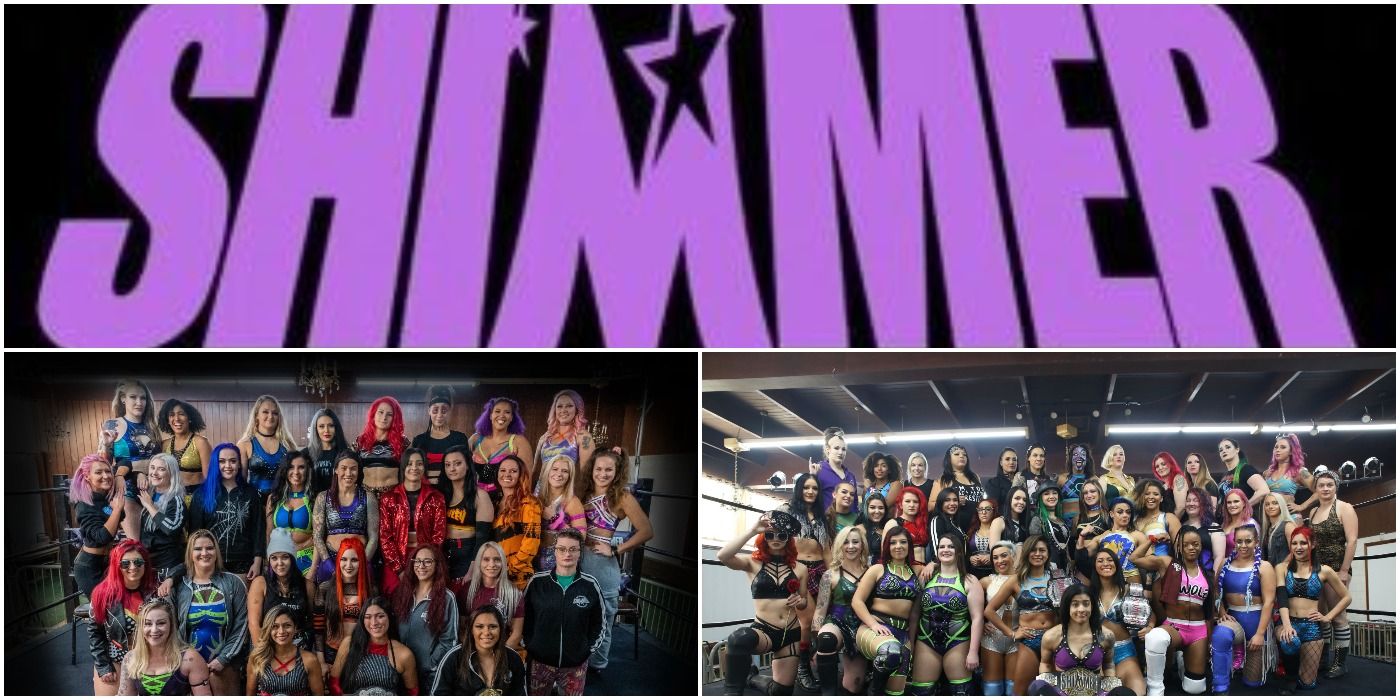Things You Didn't Know About Shimmer