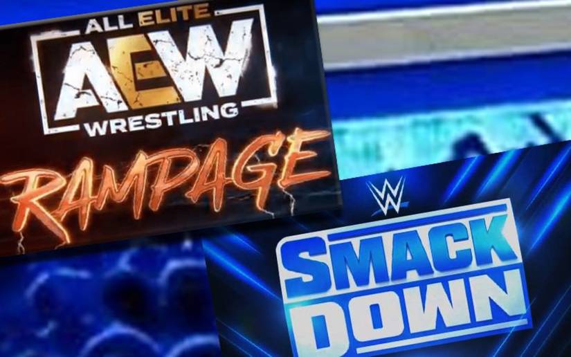 The 10 Biggest Losses WWE Ever Took In The Ratings