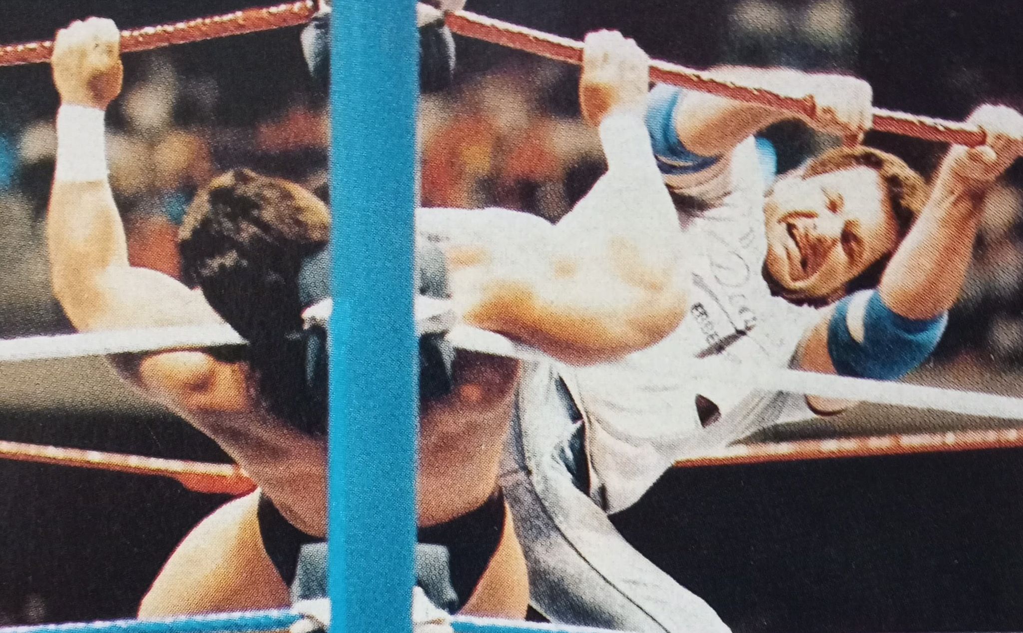 Brooklyn Brawler vs. Paul Roma (WrestleMania 6, 4/1/1990)