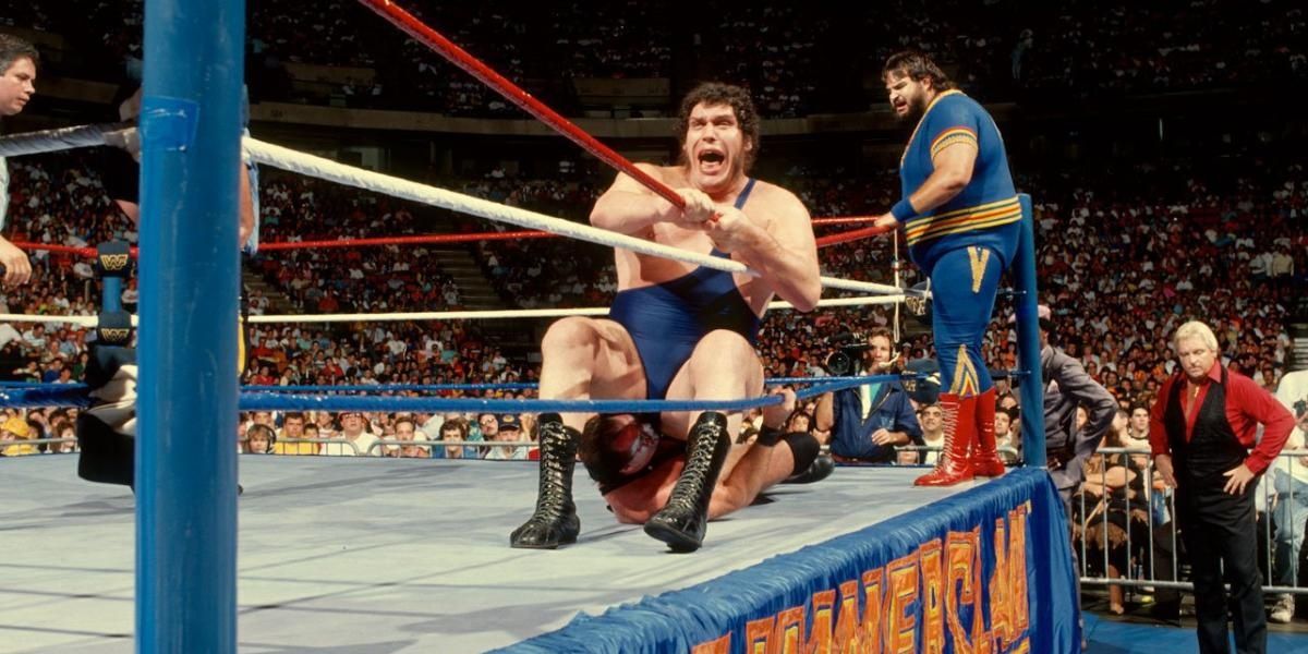 Andre The Giant & The Twin Towers v Jim Duggan & Demolition SummerSlam 1989 Cropped