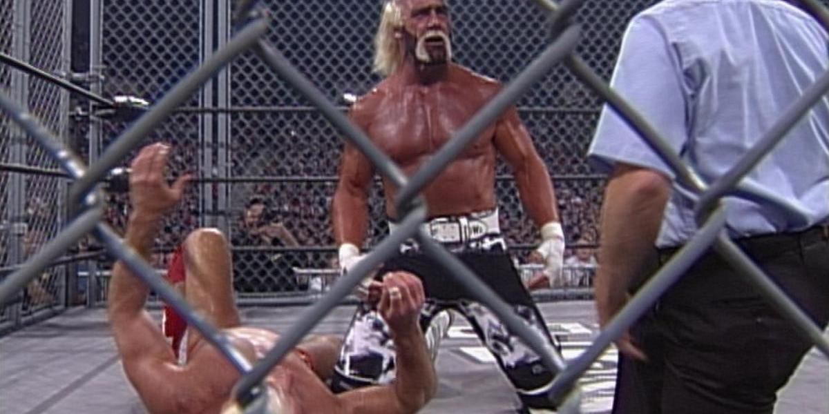 Hogan vs Flair