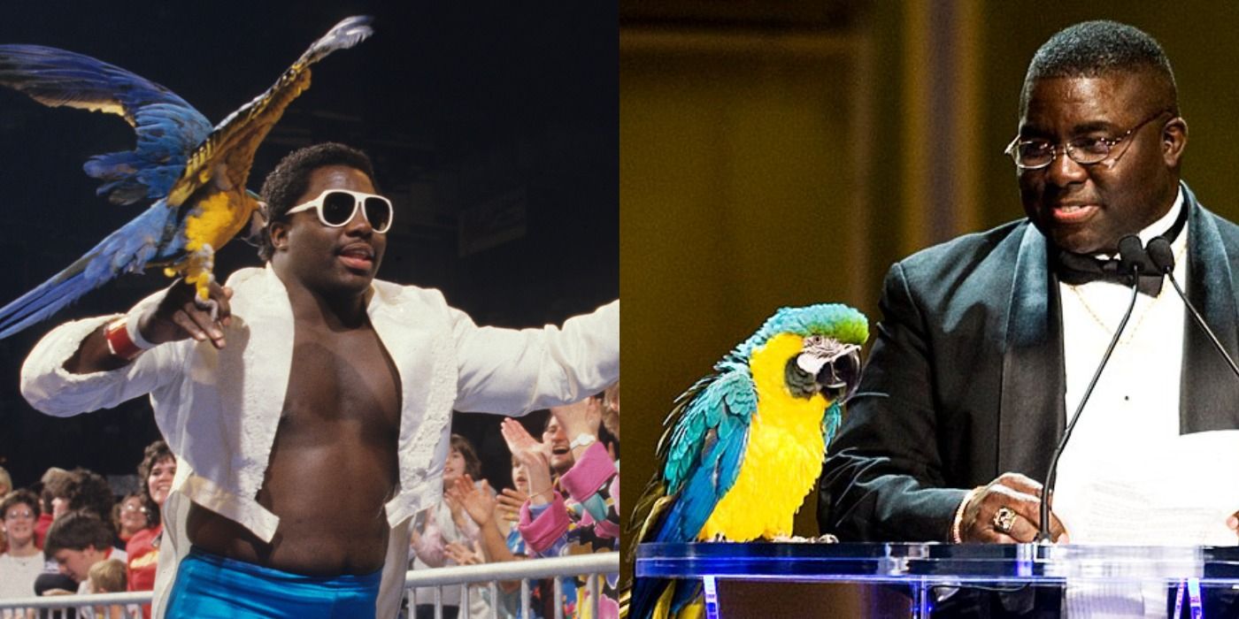 Why Was Koko B. Ware Inducted Into The WWE Hall Of Fame?