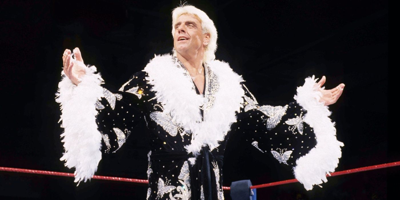Ric Flair Butterfly Robe  