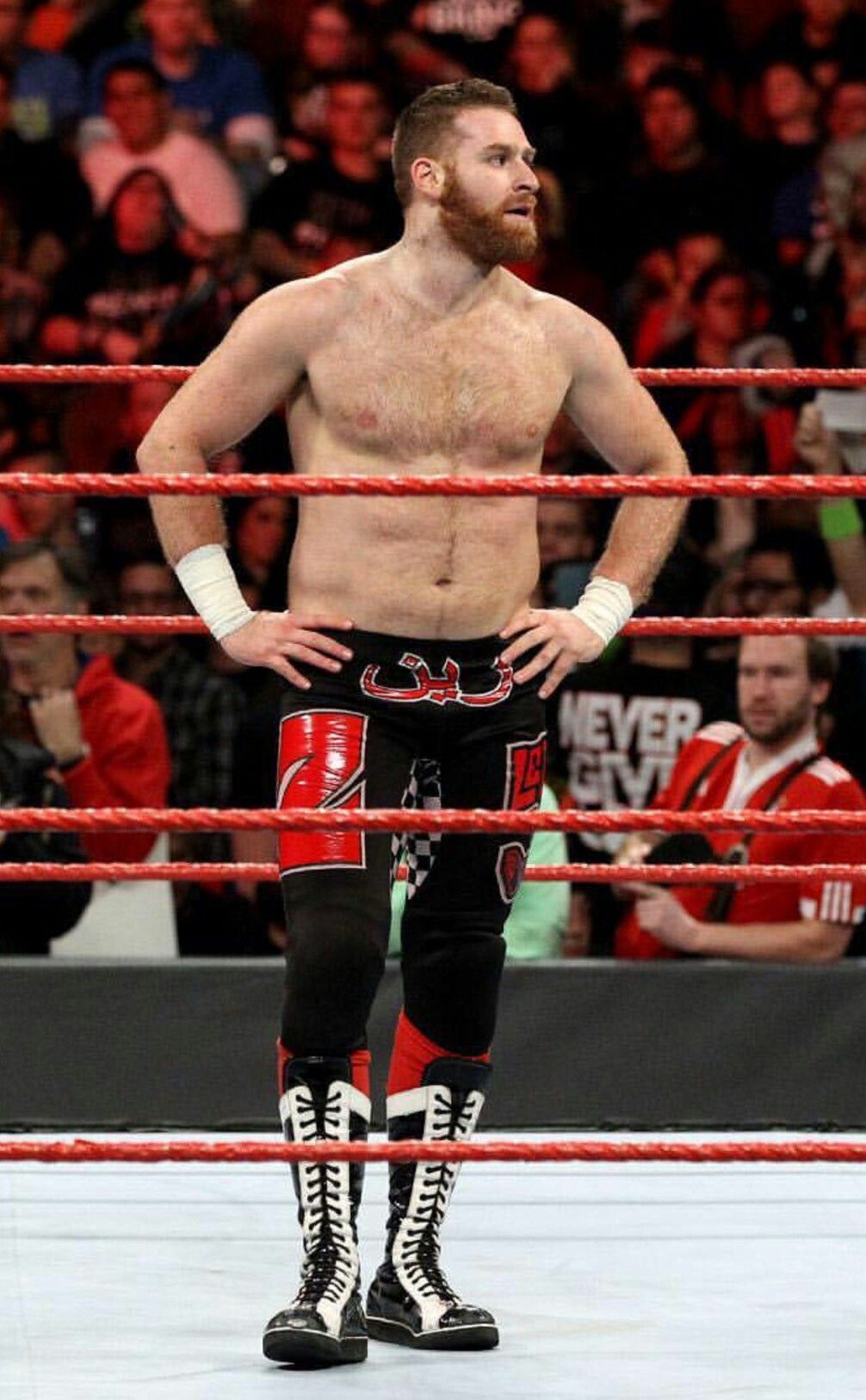 Sami Zayn