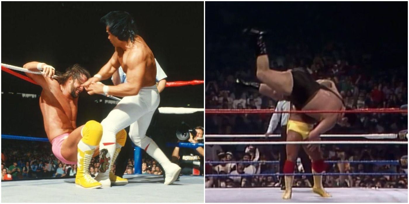 Savage vs Steamboat and Hogan vs Andre Split Image