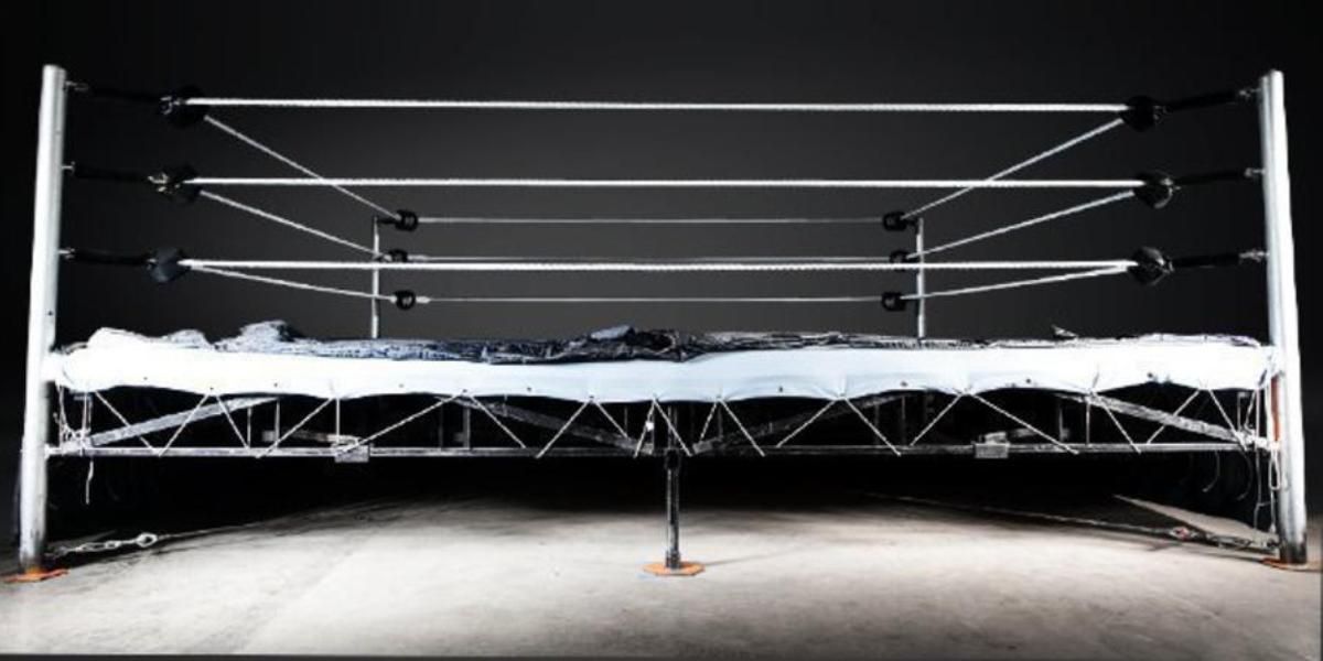 Why a professional wrestling ring is called “The Squared Circle”, explained Gallivant News