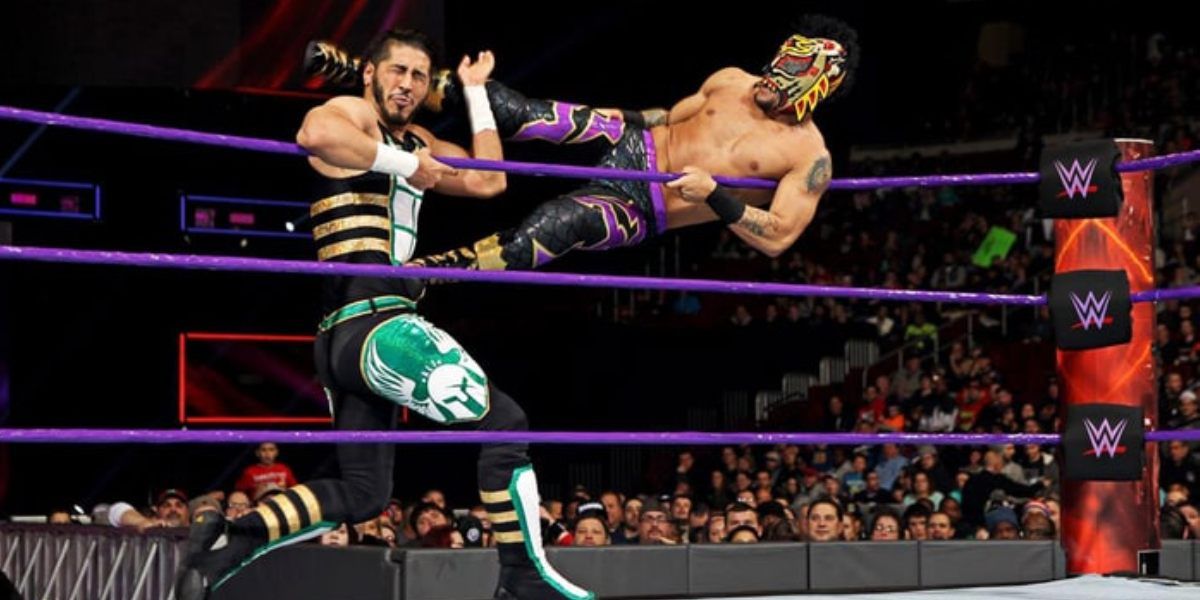 Things You Didn't Know About The WWE Wrestling Ring