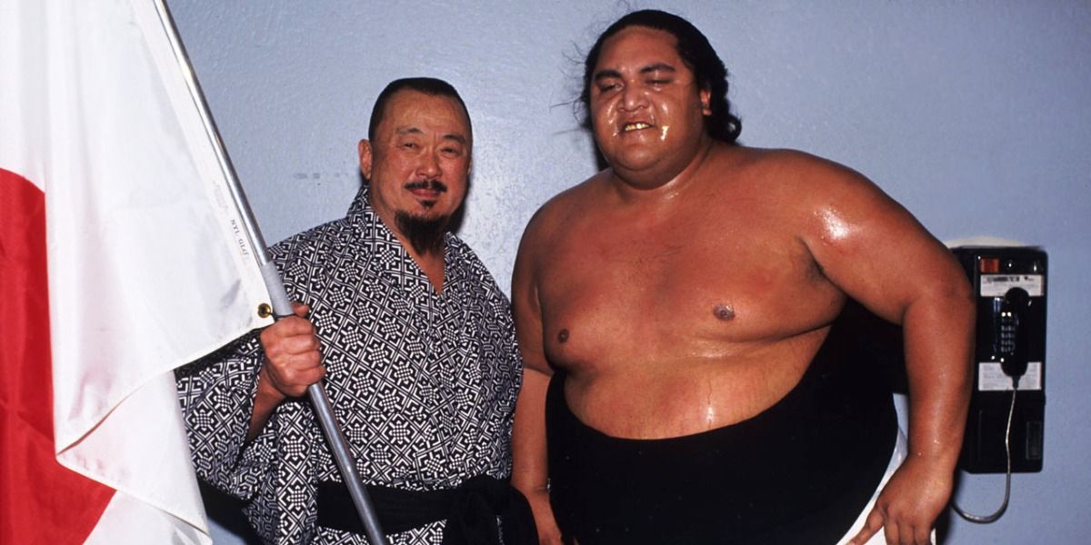 Yokozuna and Mr. Fuji