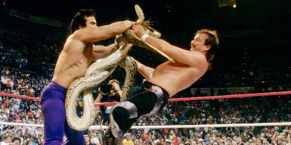 ricky-steamboat-dragon-jake-roberts-snake.jpg