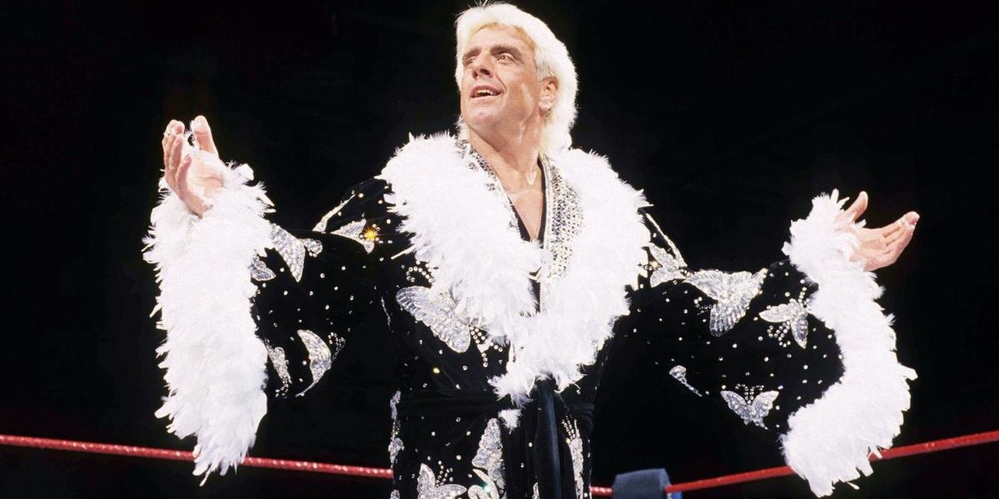 Ric Flair Butterfly Robe 