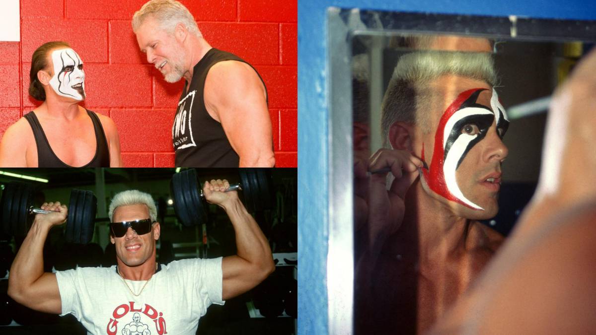 10 Pictures Of Sting Like You