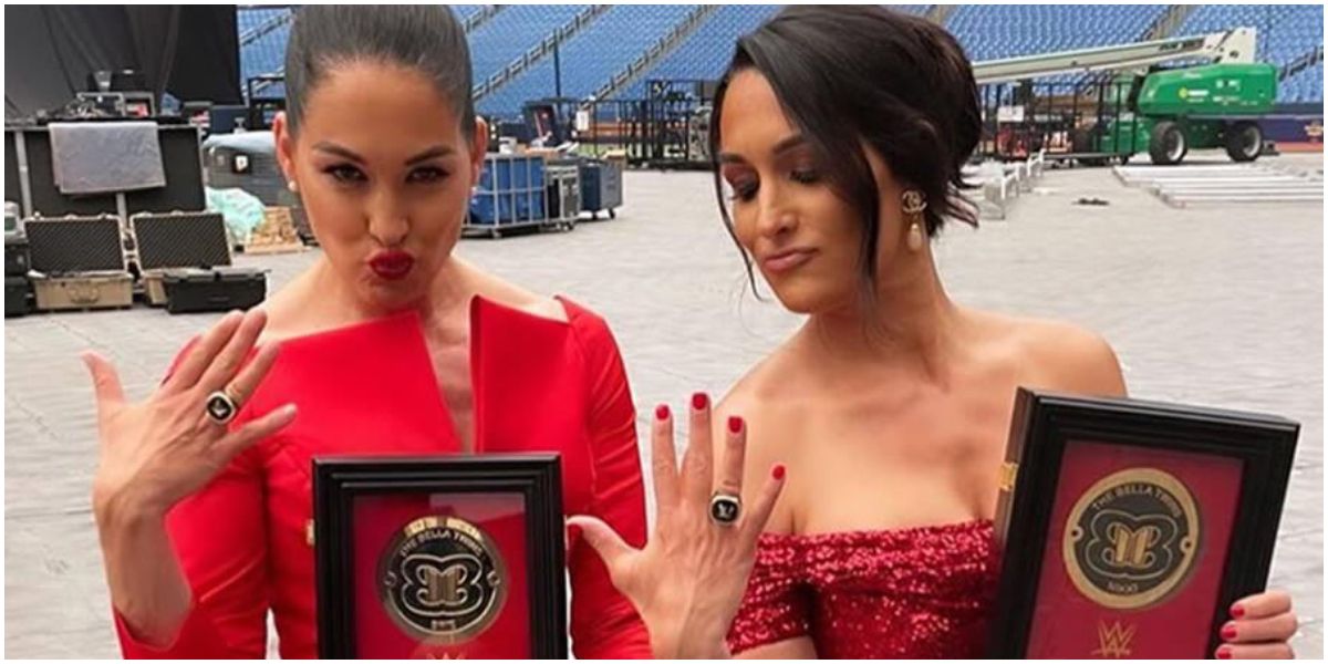 The Bella Twins as WWE Hall of Famers