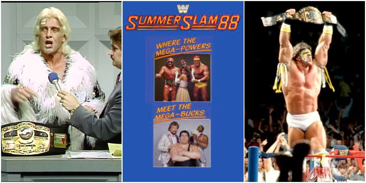 Things Every Fan Should Know about The First Summerslam