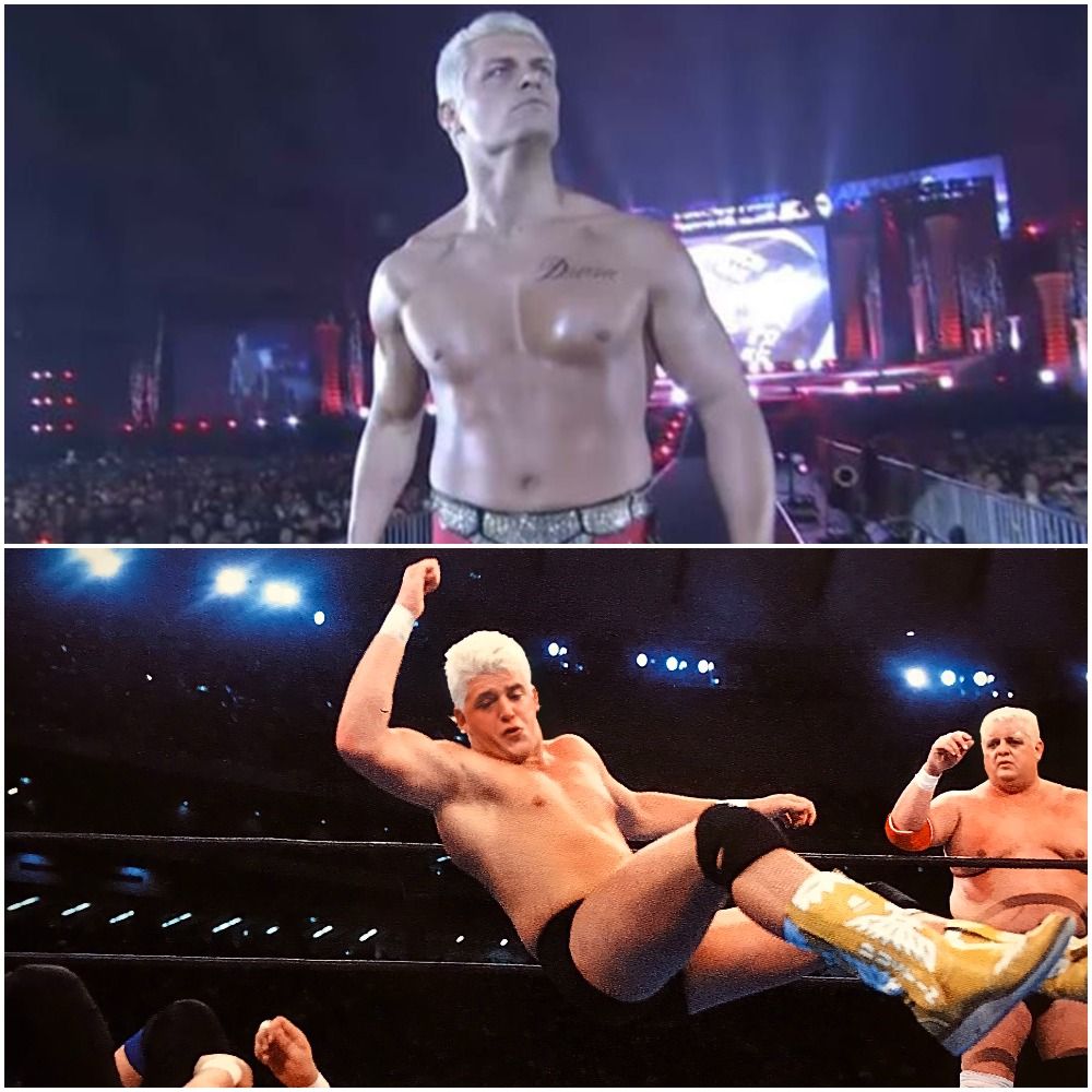 cody-and-dustin-rhodes-japan
