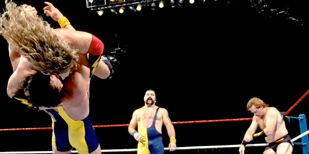The Steiner Brothers v The Heavenly Bodies SummerSlam 1993 Cropped