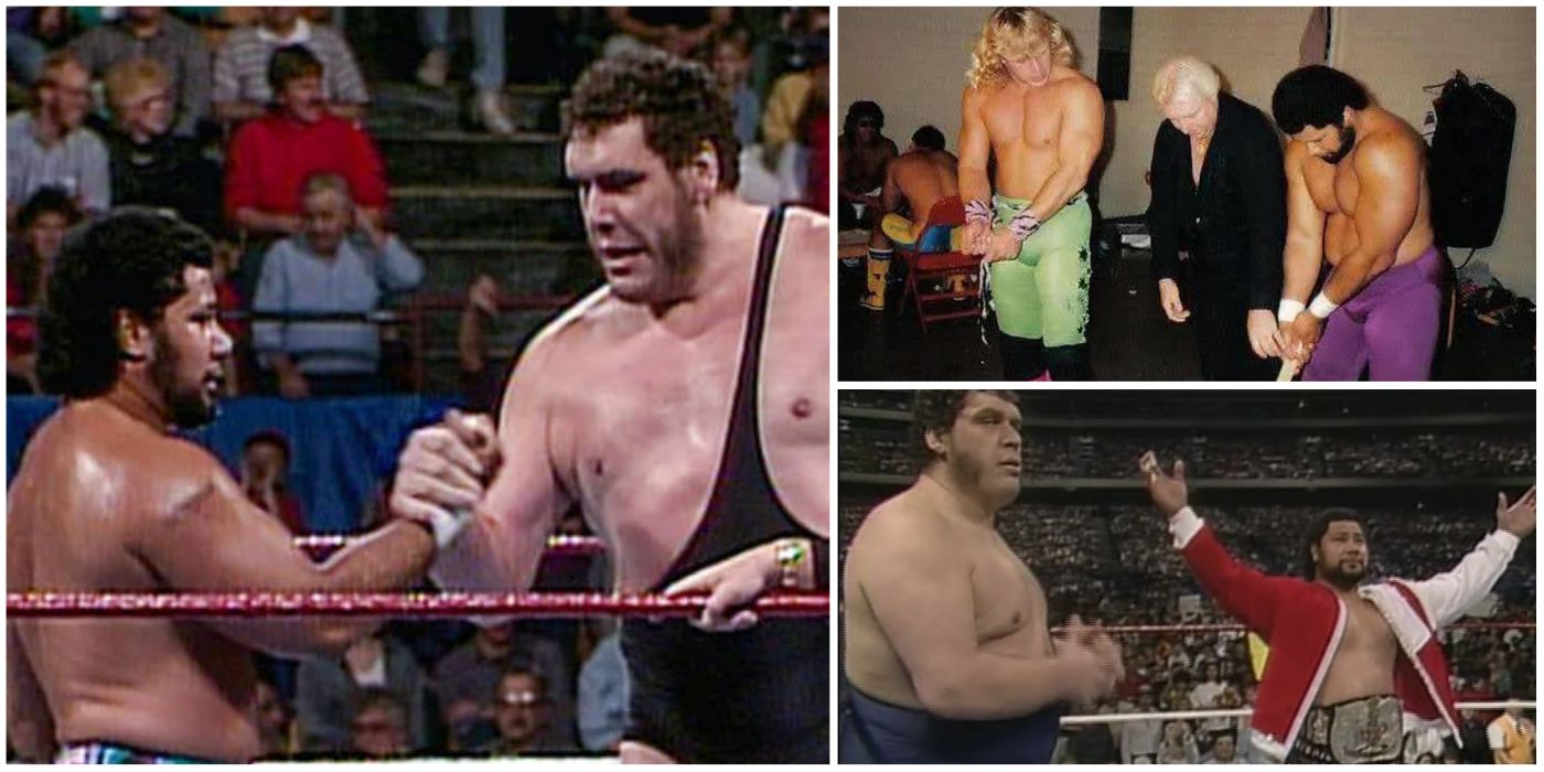 10 Things Fans Need To Know About Andre The Giant & Haku, The WWE Tag ...