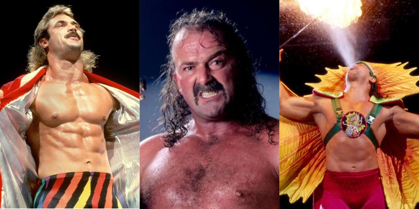 Every Jake "The Snake" Roberts WWE Feud, Ranked Worst To Best