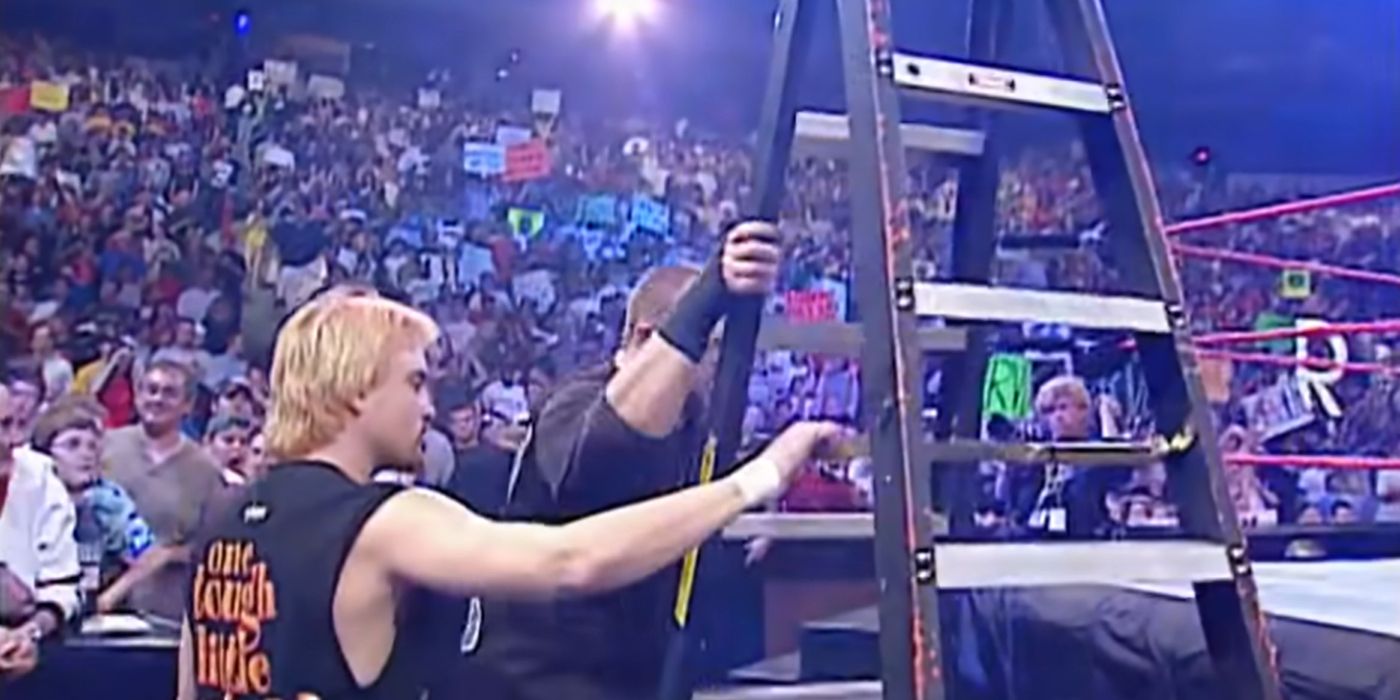 Spike and Bubba Ray Dudley in the ladder match