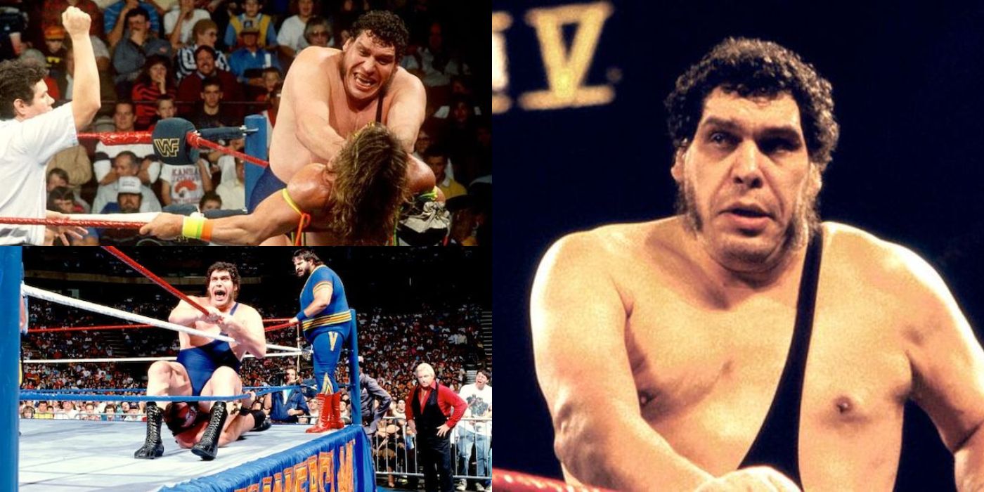 Andre The Giant last 10 losses in WWE