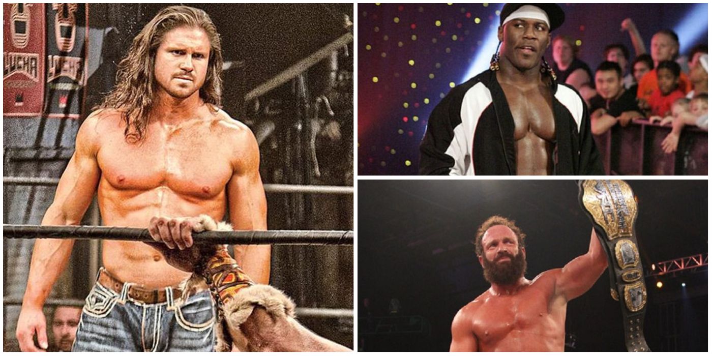 10 Wrestlers You Completely Forgot Were Triple Crown Winners In Their Promotion