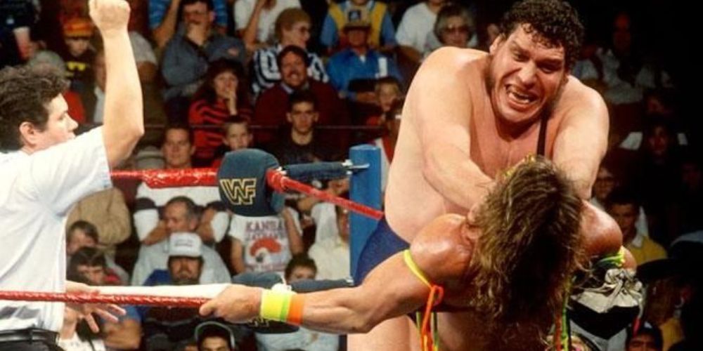 Ultimate warrior vs Andre The Giant