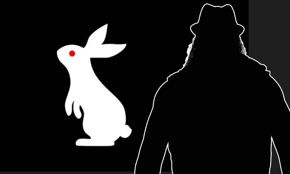 WWE Offers Another Teaser For White Rabbit, Places Flyers On Fans Cars