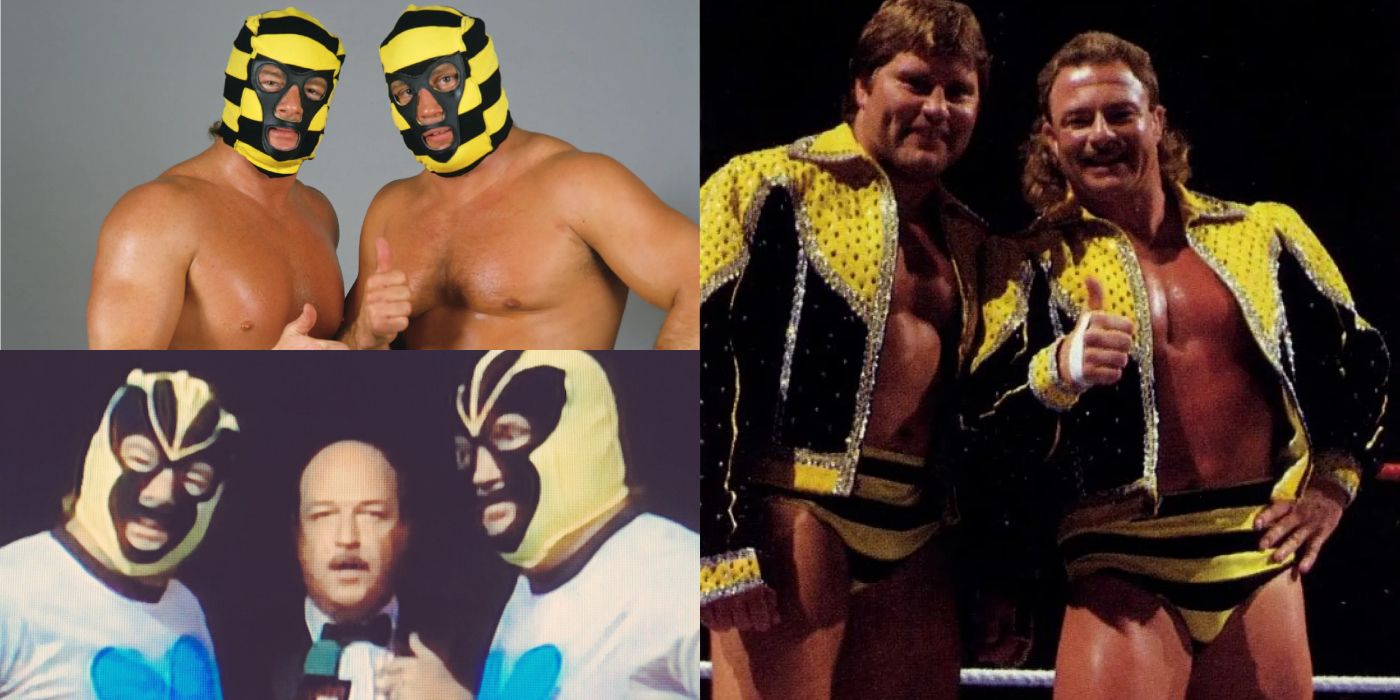 Killer Bees (professional wrestling) - Wikipedia