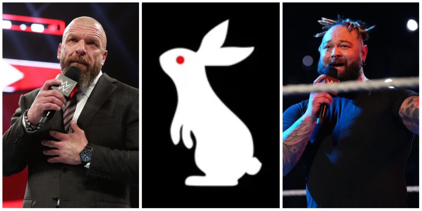 Triple H Details How WWE's White Rabbit Project Came Together | Flipboard
