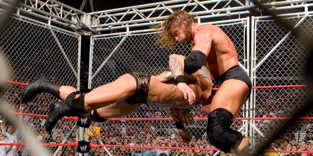 Triple H v Randy Orton Judgment Day 2008 Cropped