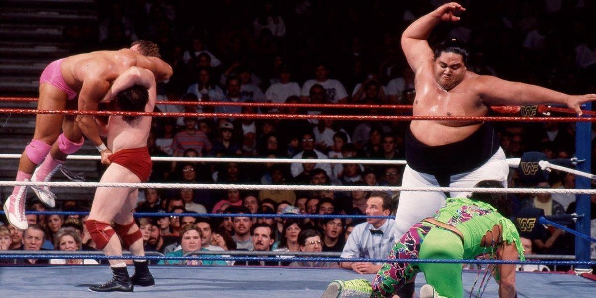 1993 Royal Rumble match Cropped