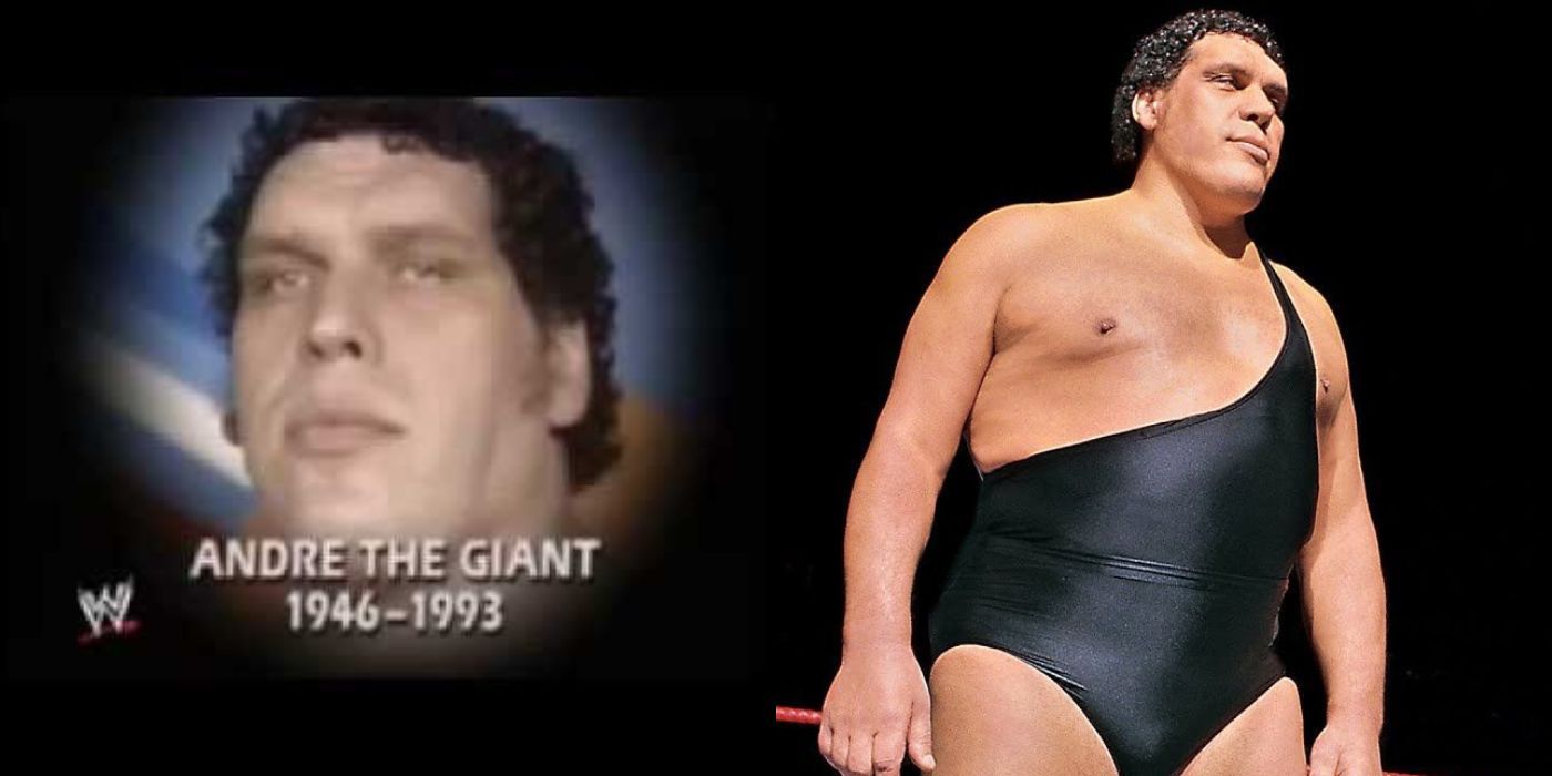Death of Andre The Giant