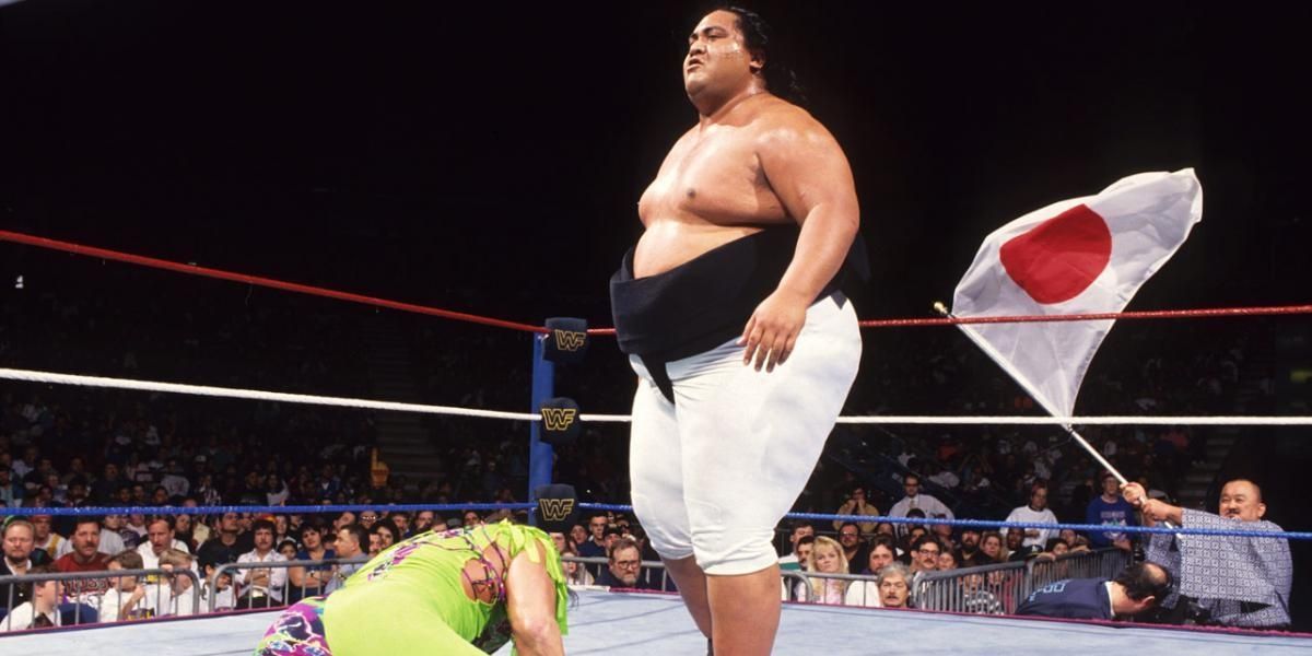Randy Savage Royal Rumble 1993 Cropped