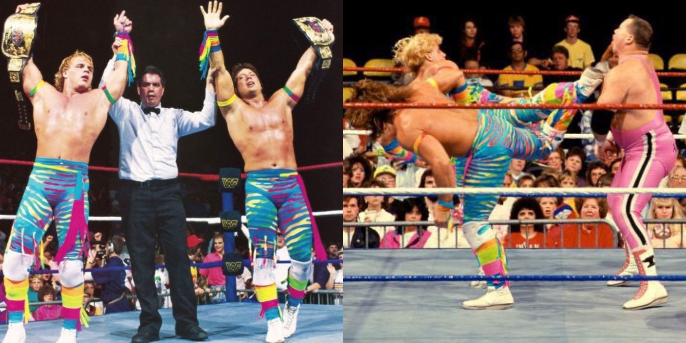 Shawn Michaels and Marty WWE Tag Team Title